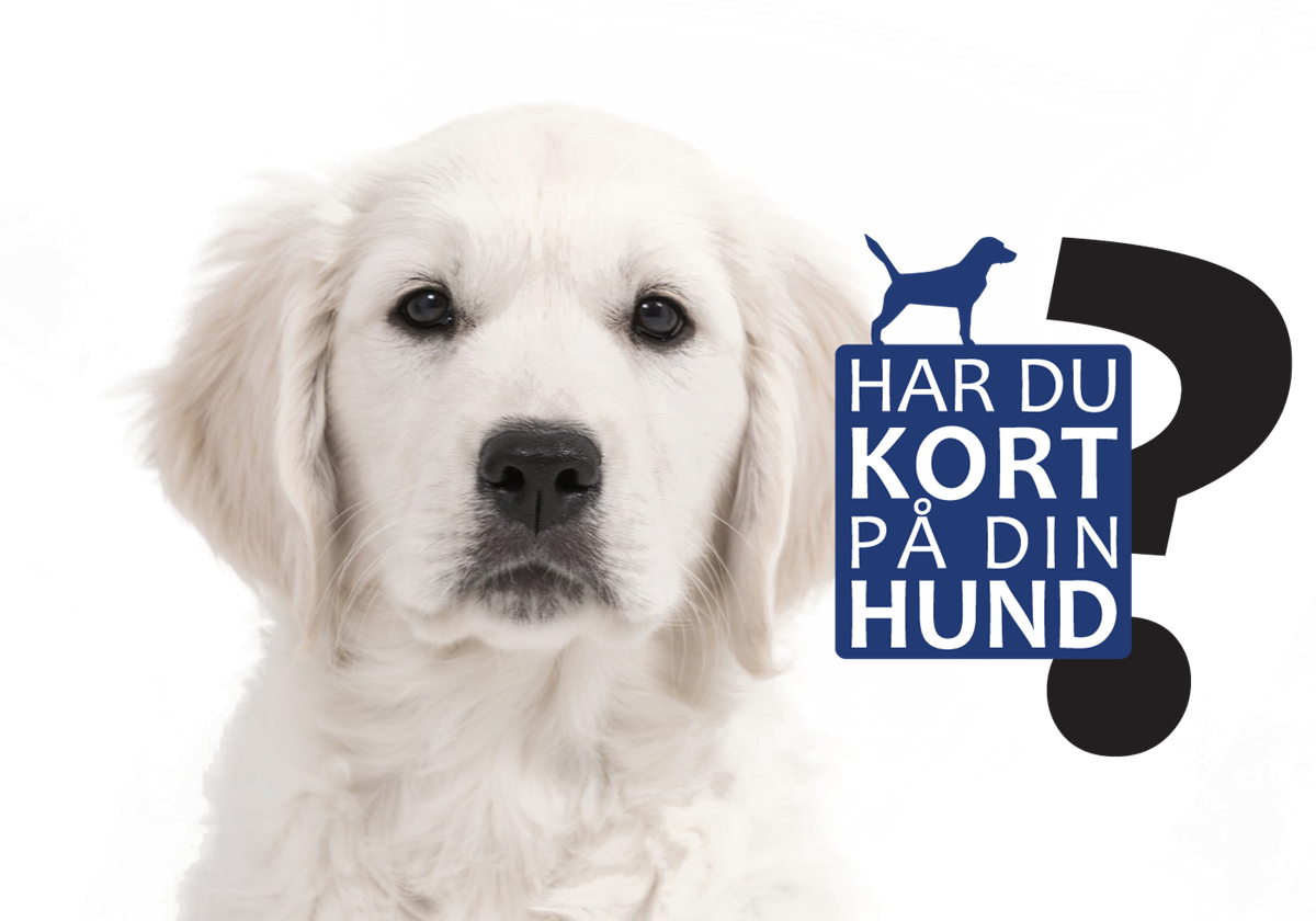 Ellers peeling støn Hund | Dansk Hunderegister