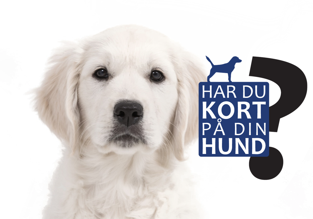 Algebraisk sammenbrud infrastruktur Hund | Dansk Hunderegister