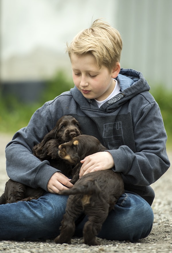 Spørgsmål og svar | Dansk alt om hunde